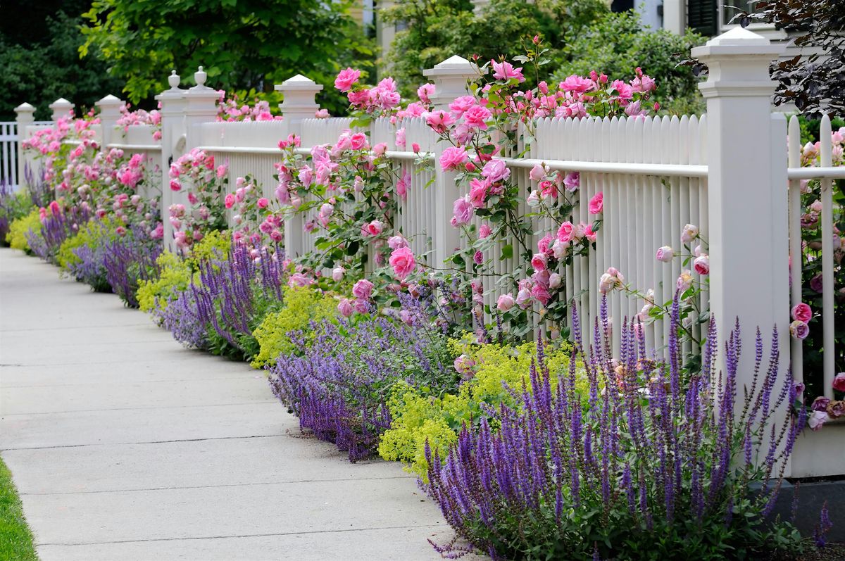 How to Use Color in your Garden with Success, 2 August | Event in Richboro | AllEvents