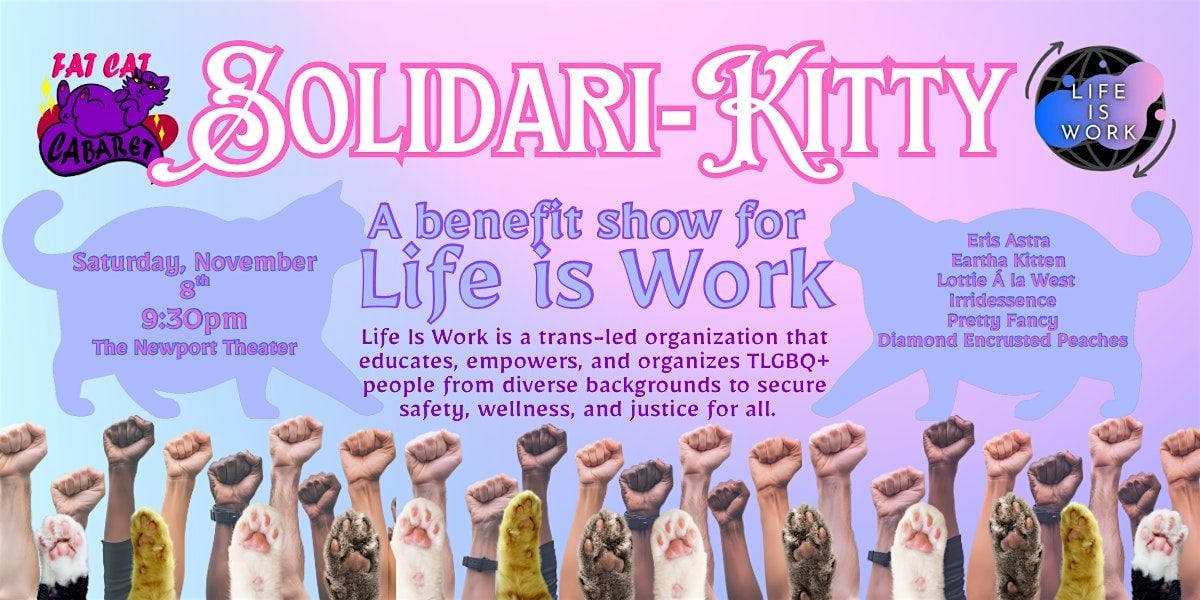 Solidari-kitty, 8 November | Event in Chicago | AllEvents