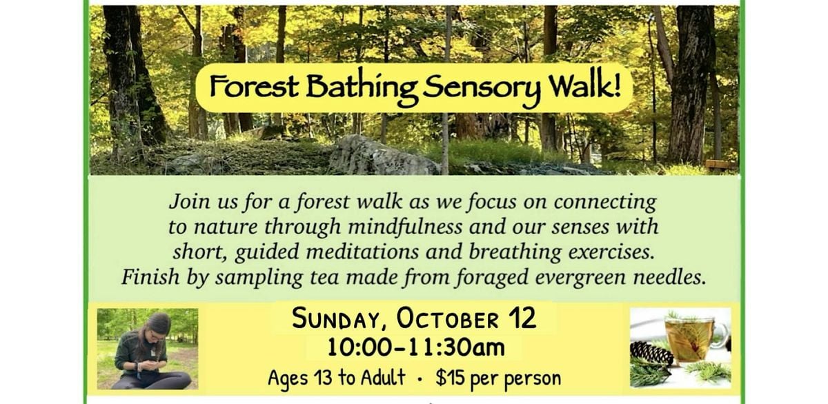 Forest Bathing Sensory Walk & Foraged Tea | Event in Ringwood | AllEvents