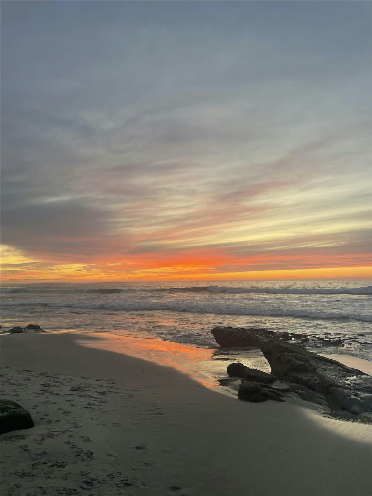 San Diego Science and Nature- Beach Cleanup OB, 13 September | Event in San Diego | AllEvents