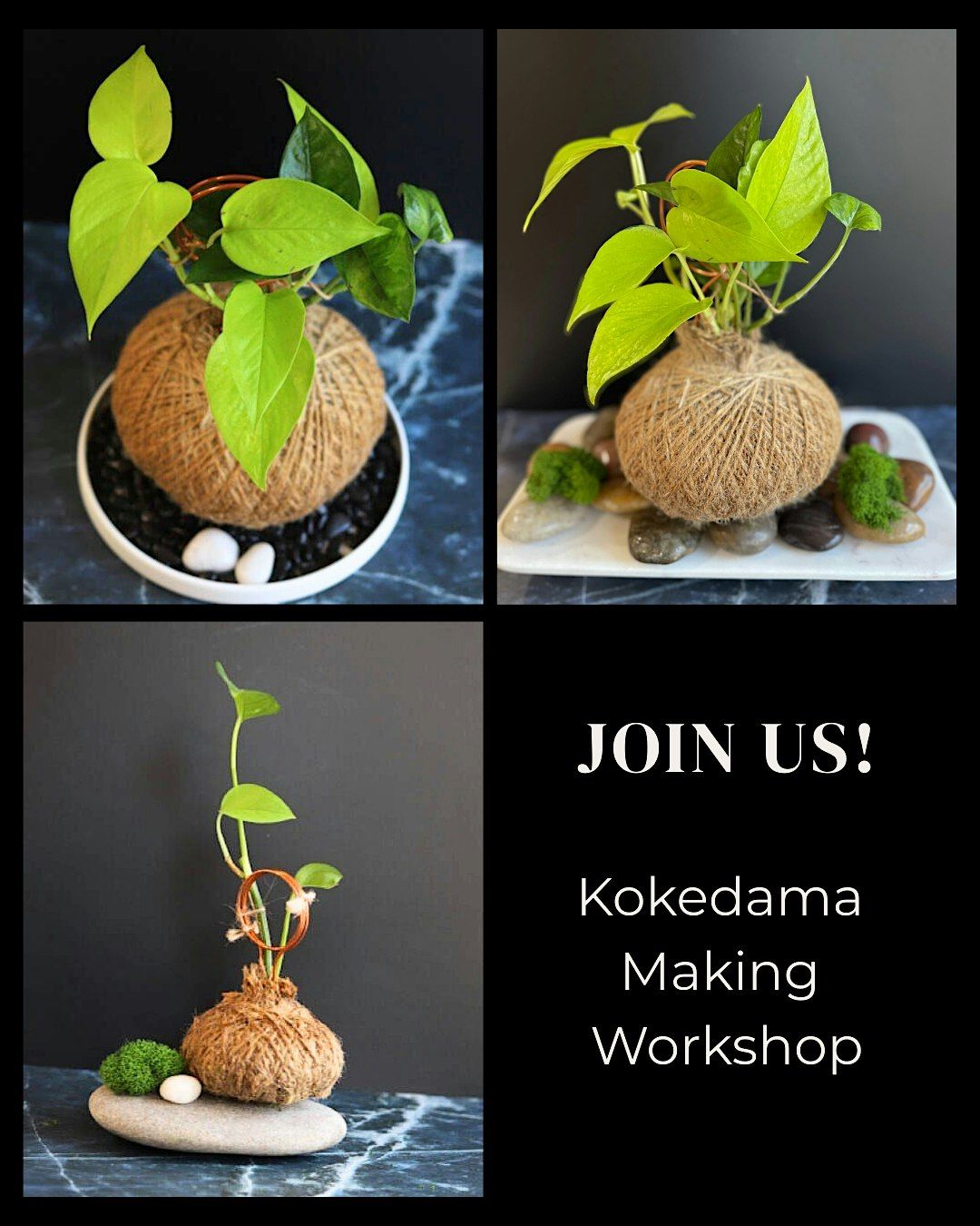 Kokedama Making Class, 7 May | Event in Mason | AllEvents
