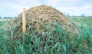 Fire Ant Control in Pastures - Davie, 26 August | Event in Mocksville | AllEvents