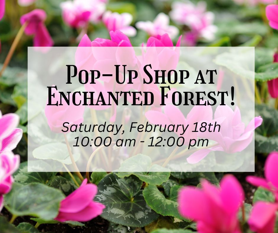 PopUp at Enchanted Forest, Enchanted Forest, Richmond, February 18