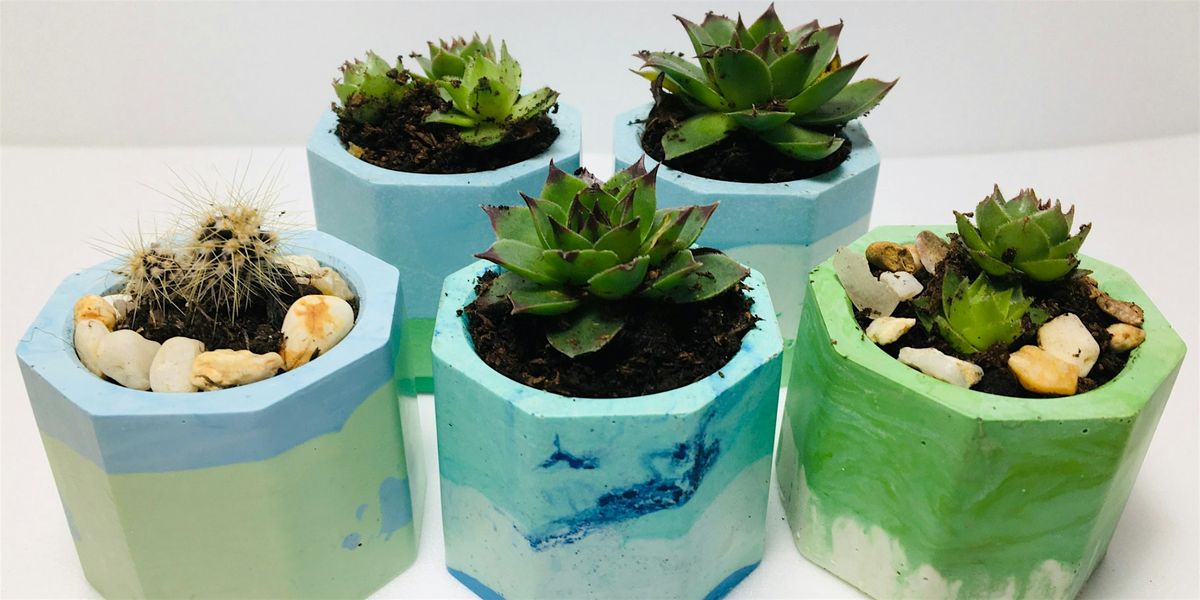 Jesmonite Pots and Succulents, 18 December | Event in Stockport | AllEvents