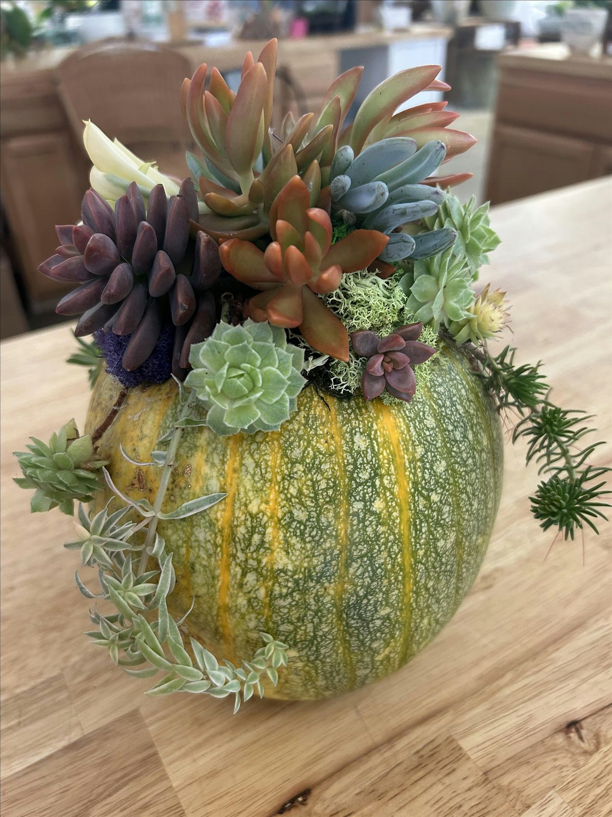 Succulent Pumpkin Centerpiece Workshop, 19 October | Event in Memphis | AllEvents