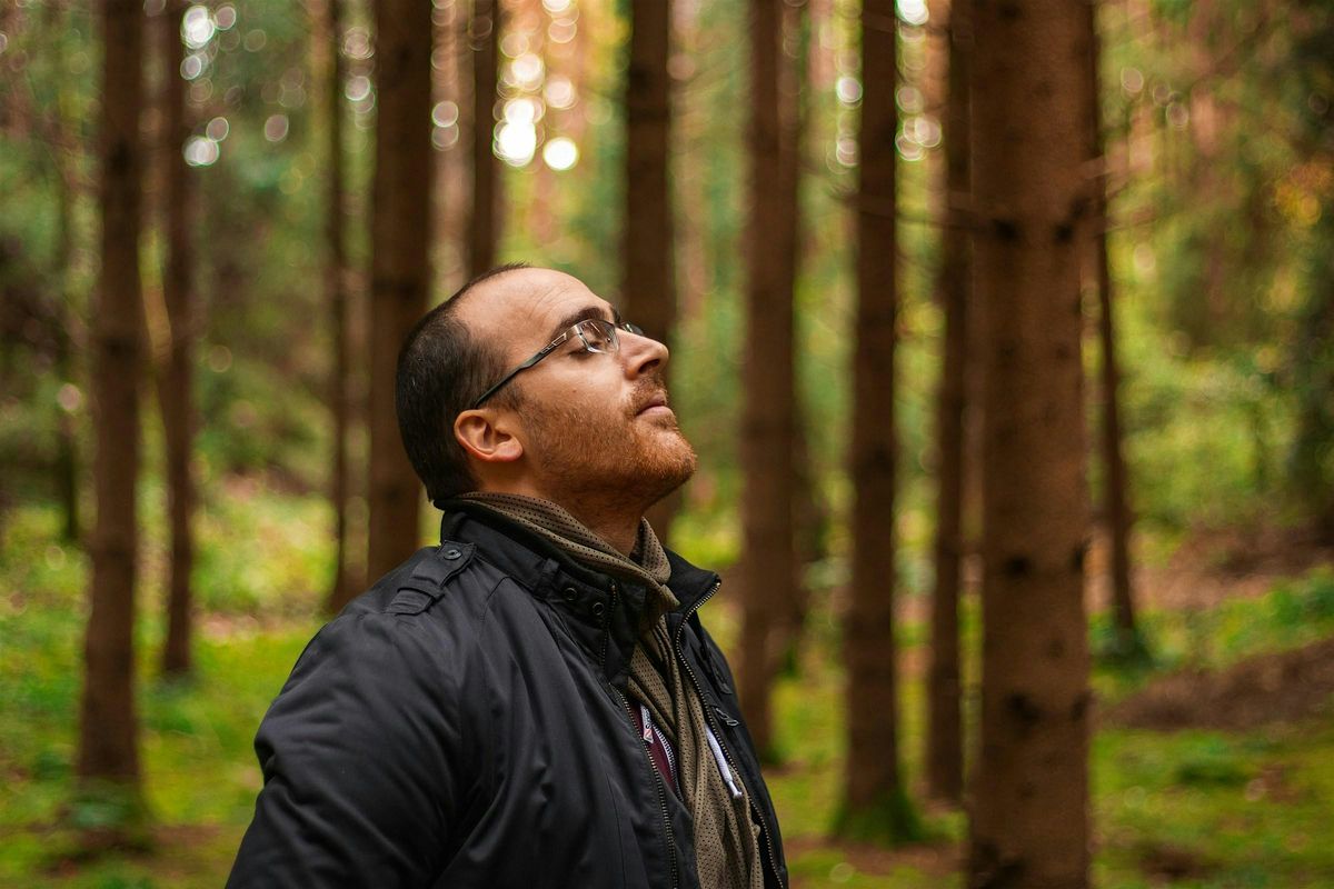 ***EXTENDED SESSION*** Unwind in the Woods: forest bathing at Salcey, 17 May | Event in Northampton | AllEvents