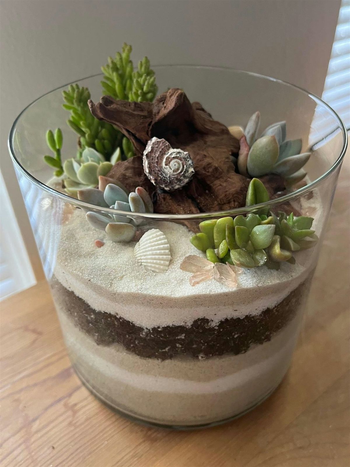 Live Succulent Coastal Terrarium Class, 24 July | Event in Ormond Beach | AllEvents