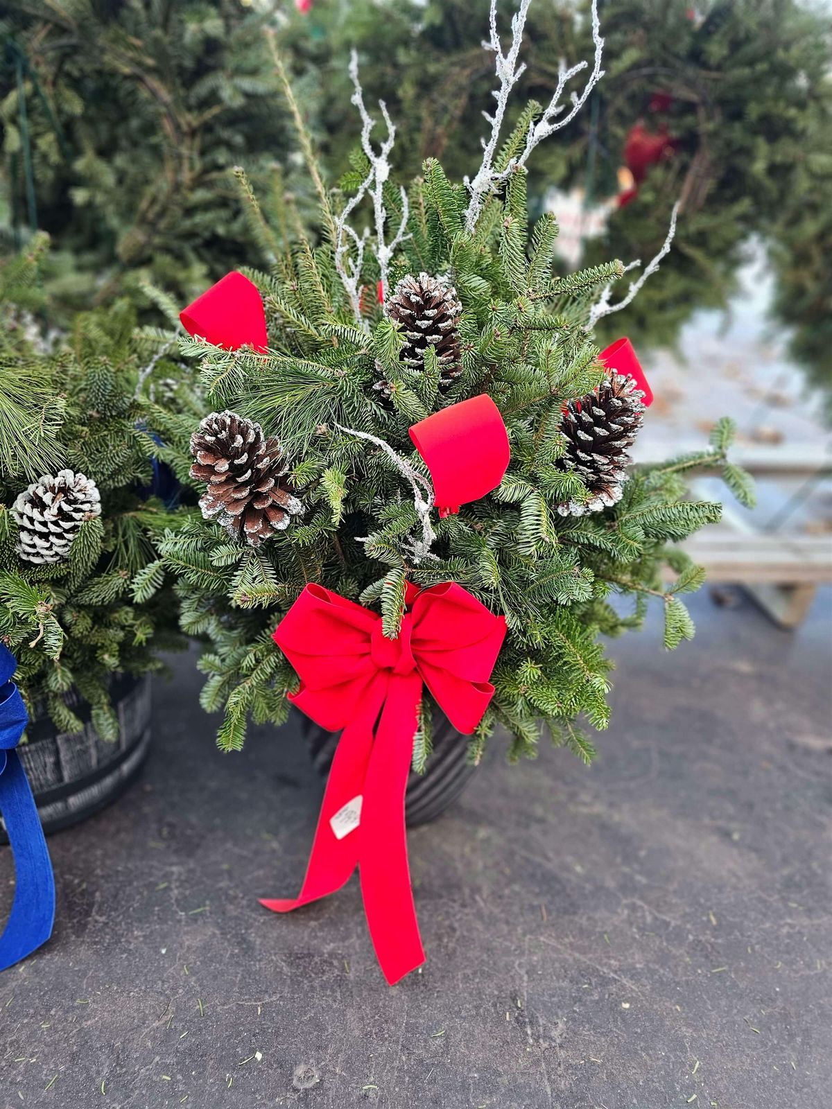 Build Your Own Holiday Porch Pot Workshop, 15 November | Event in Romulus | AllEvents