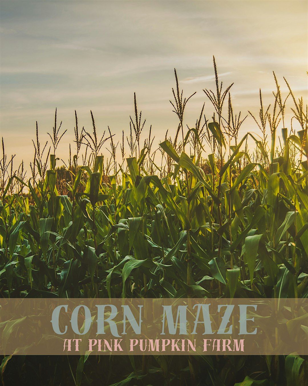 Magic at the Maze | Event in Armstrong | AllEvents