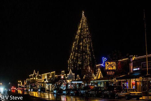 Boulder Creek Christmas Tree Festival 2022 Wtu6Vzwft13Rom