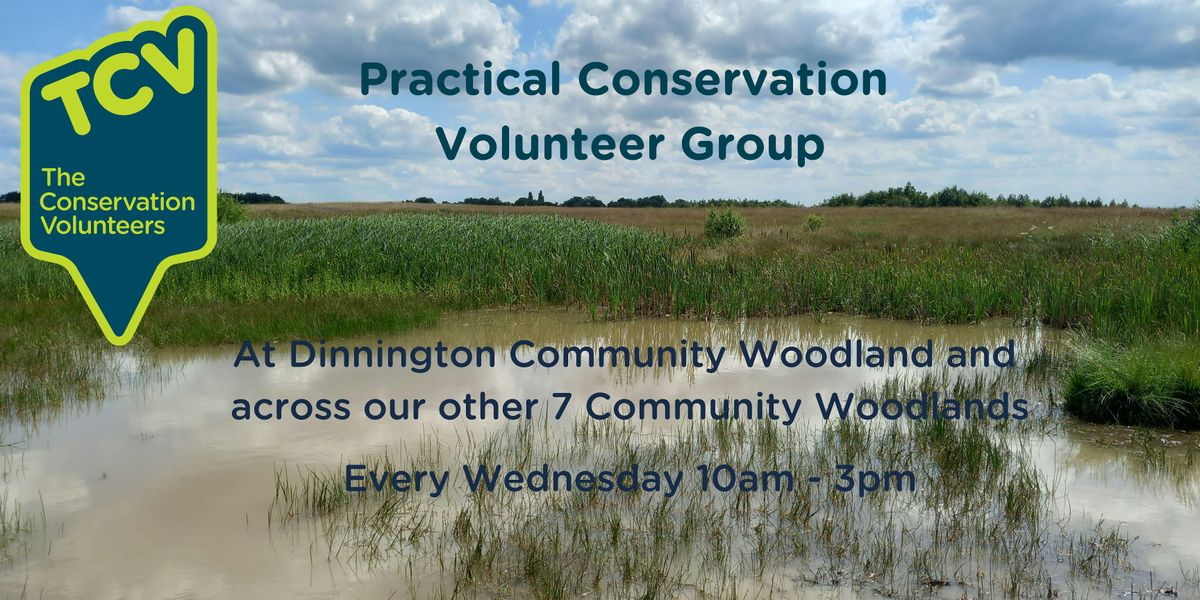 Practical Conservation Volunteer Group at Dinnington Community Woodland, 26 November | Event in Sheffield