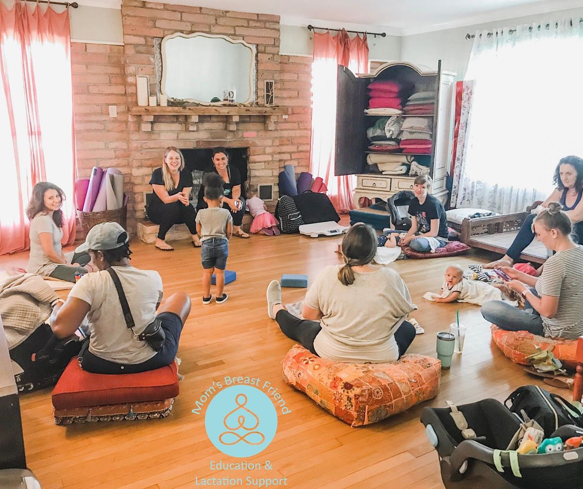 Free Postpartum Breastfeeding Support Group Palms Birth House Delray Beach 2 November
