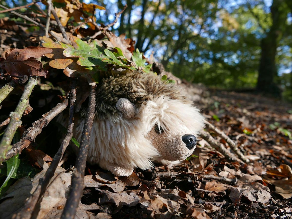 Swanwick Lakes Wildlife Tots: Happy Hibernators!, 4 November | Event in Fareham | AllEvents