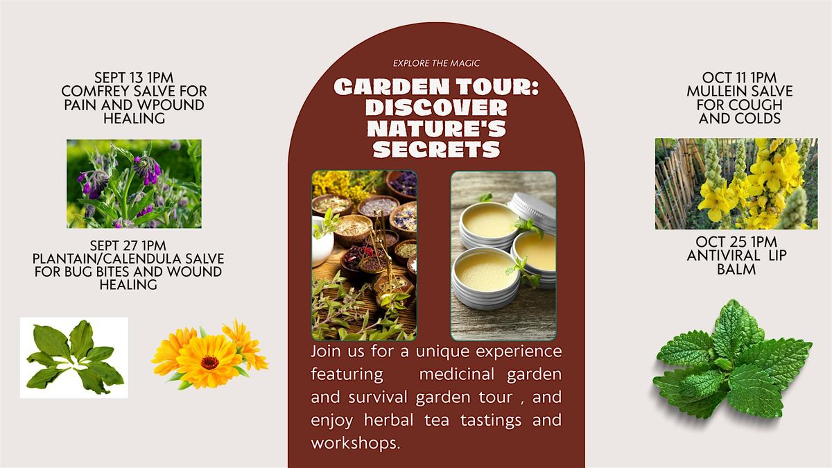 Medicinal Garden and Survival Garden Tour with Tea Tasting and Workshop, 13 September | Event in North Aurora