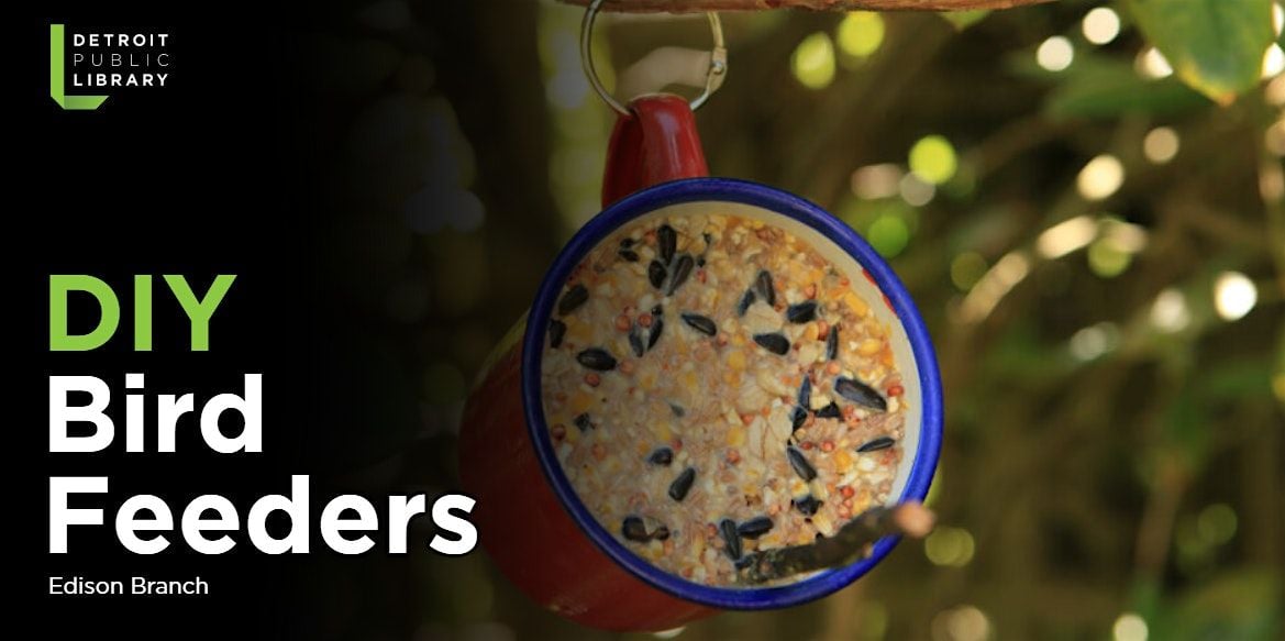 DIY Bird Feeders, 27 September | Event in Detroit | AllEvents