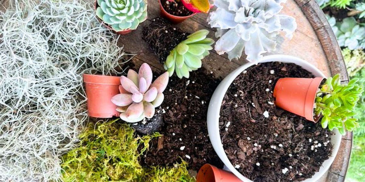 Succulent Workshop at Newfield, 27 June | Event in Palm City | AllEvents