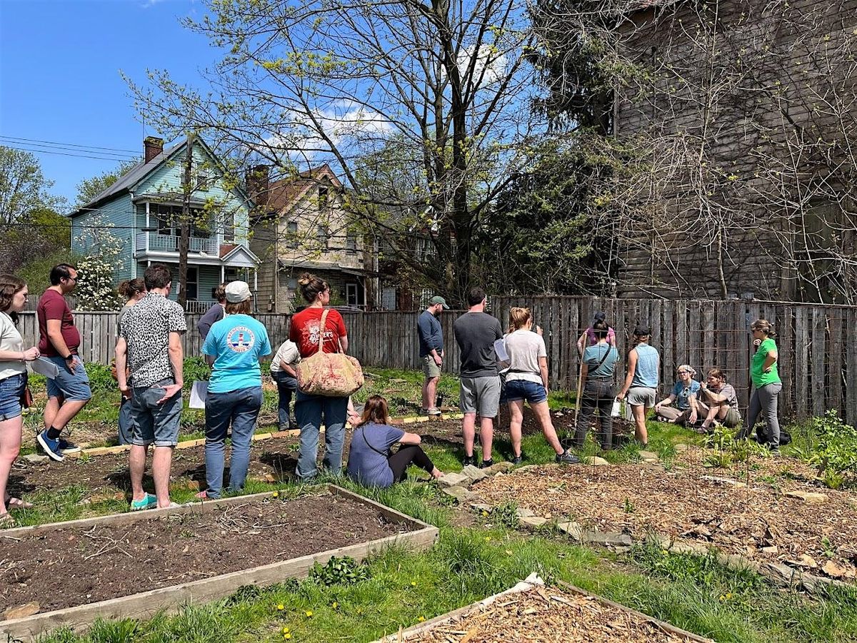 Pest And Disease ID Walk, 6 August | Event in Braddock | AllEvents