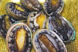 Thriving Community - Abalone on the Northern CA Coast | Event in Jenner | AllEvents