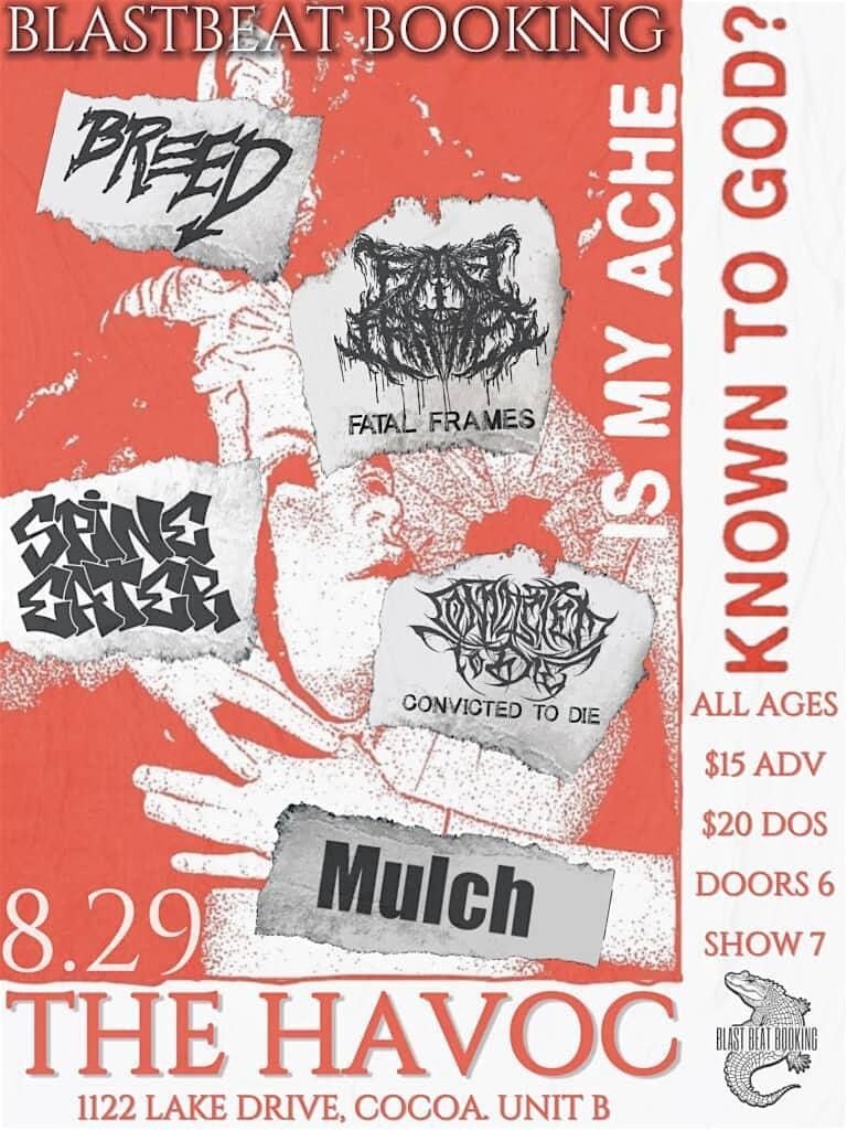 Breed and Fatal Frames at Cocoa, 29 August | Event in Cocoa | AllEvents