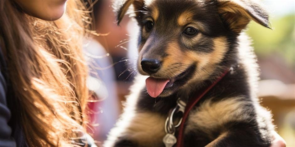 Copper's Dream Meet and Greet! | Event in Cupertino | AllEvents