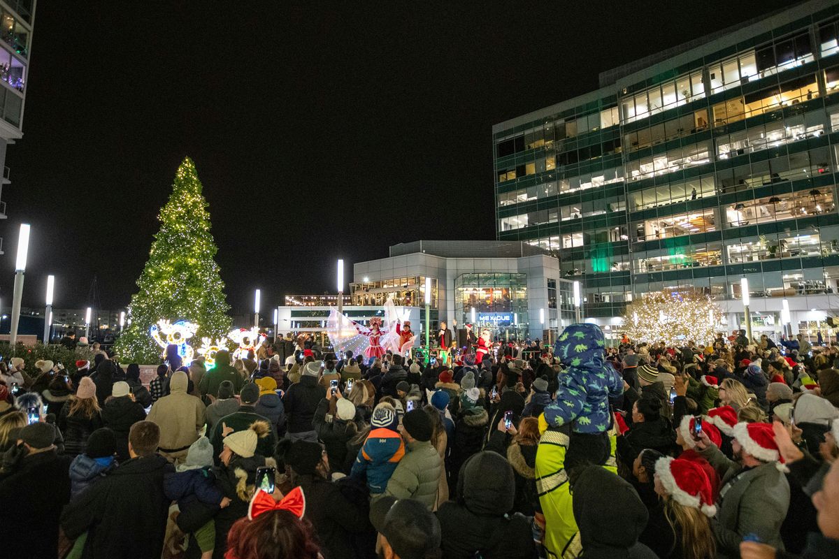 Harbor Point 15th Annual Christmas Tree Lighting, 3 December | Event in Stamford | AllEvents