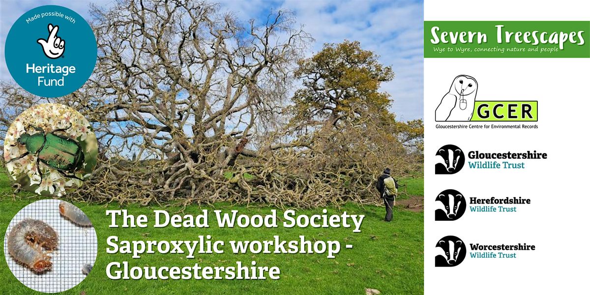 The Dead Wood Society Saproxylic Workshop, 29 November | Event in Gloucester | AllEvents