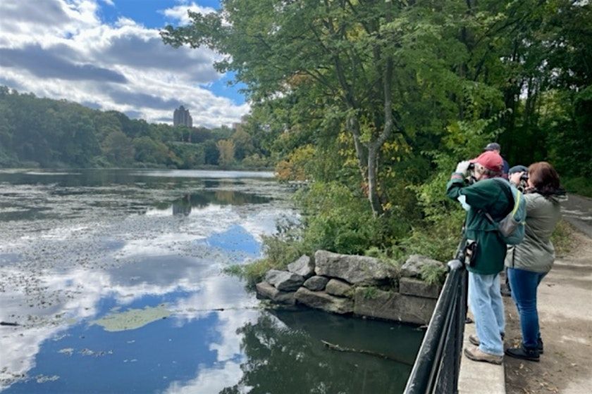 Birding with NYC Bird Alliance (formerly NYC Audubon) | Event in The Bronx | AllEvents
