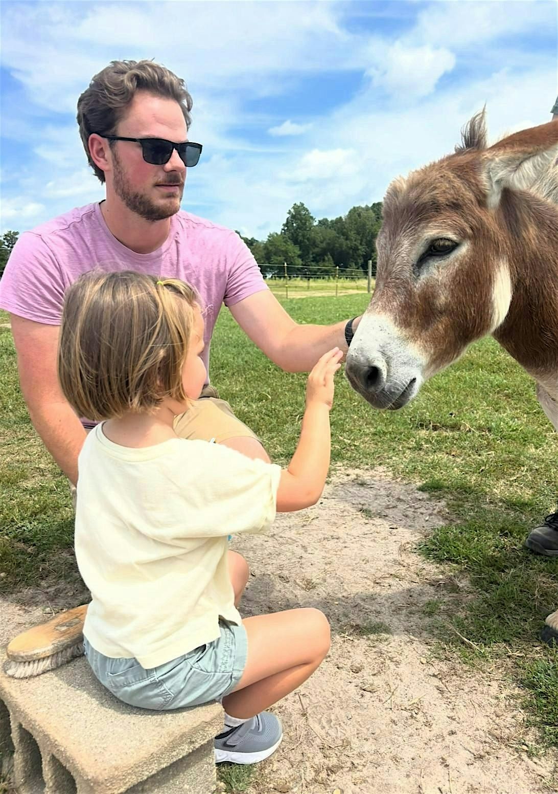 Donkey Cuddling: A Heartfelt Experience with Our Gentle Herd, 7 September | Event in Preston | AllEvents