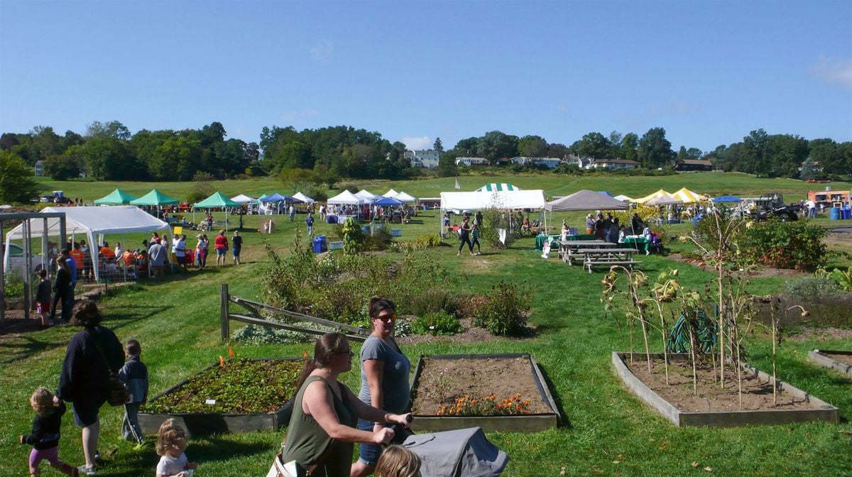 Harvest Festival & Tractor Show at Franklin Farm, 27 September | Event in Cumberland | AllEvents