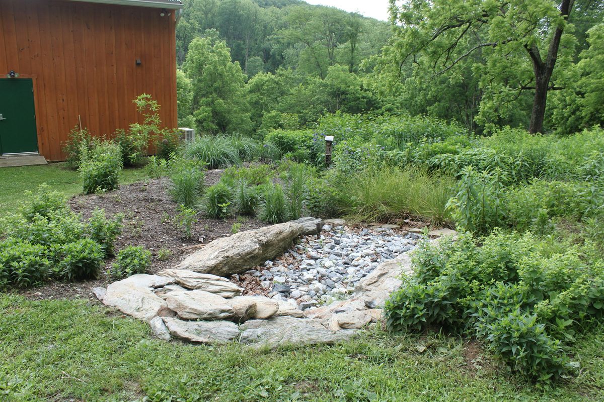 Habitat Advocate: Native Garden Design for Stormwater Management, 31 May | Event in Lancaster | AllEvents