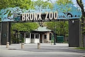 NEW YORK CITY BRONX ZOO TRIP FROM BALTIMORE, 11 October | Event in White Marsh | AllEvents