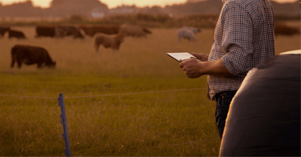 Managing Farm Risk and Resources, 13 November | Event in Lexington | AllEvents