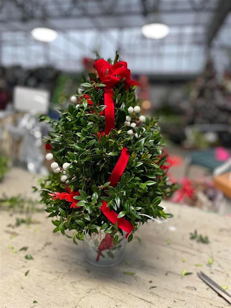 Boxwood Tree Workshop, 7 December | Event in East Lyme | AllEvents