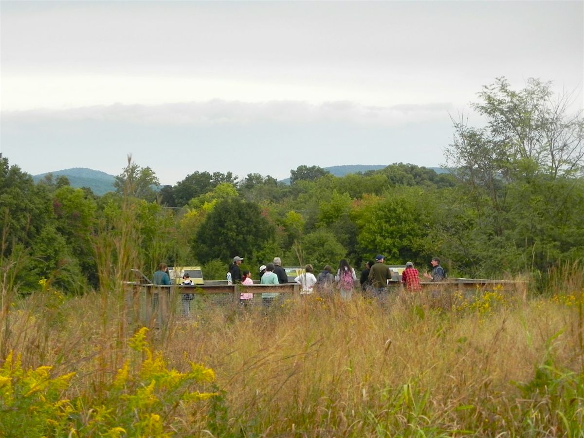 Naturalist Walk: Fall Ecology, 26 October | Event in Broad Run | AllEvents