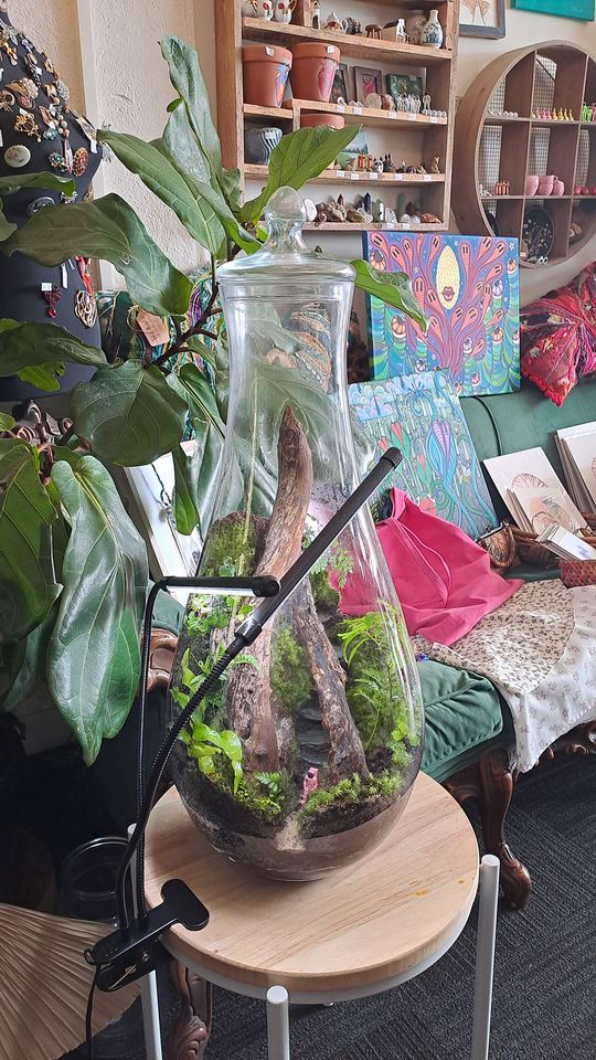 Terrarium Building Green Room by Manik, Stratford, July 9