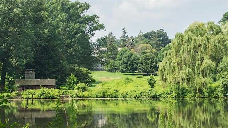 Forest Therapy at Haverford College Arboretum, 22 June | Event in Haverford | AllEvents