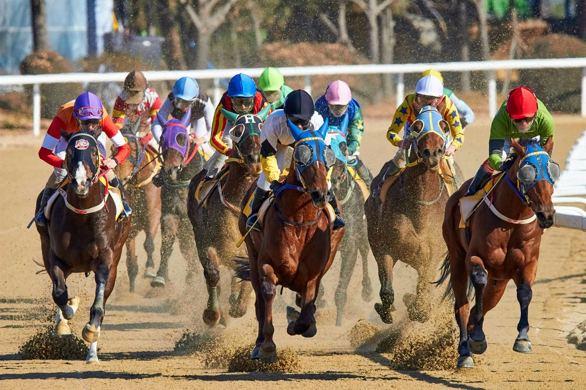 Preakness Freaks Hell's Kitchen Watch Party, 17 May | Event in New York | AllEvents