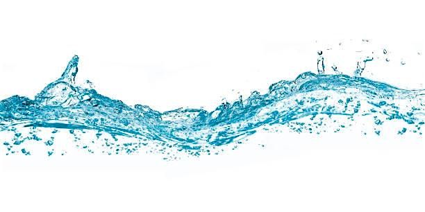 What's in your Water?!, 27 June | Event in Albany | AllEvents