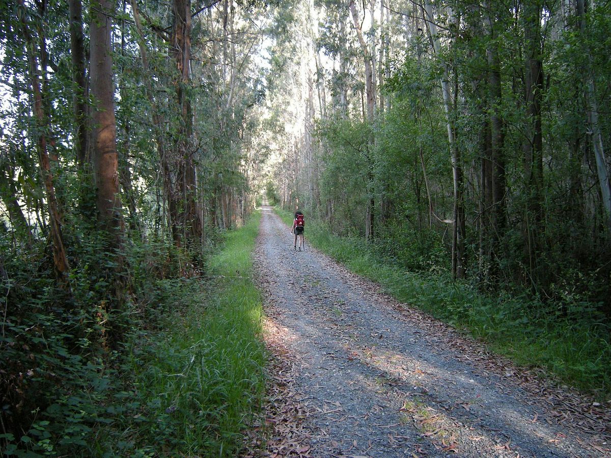 Camino Trail through Spain in Autumn, 15 November | Event in Vigo | AllEvents