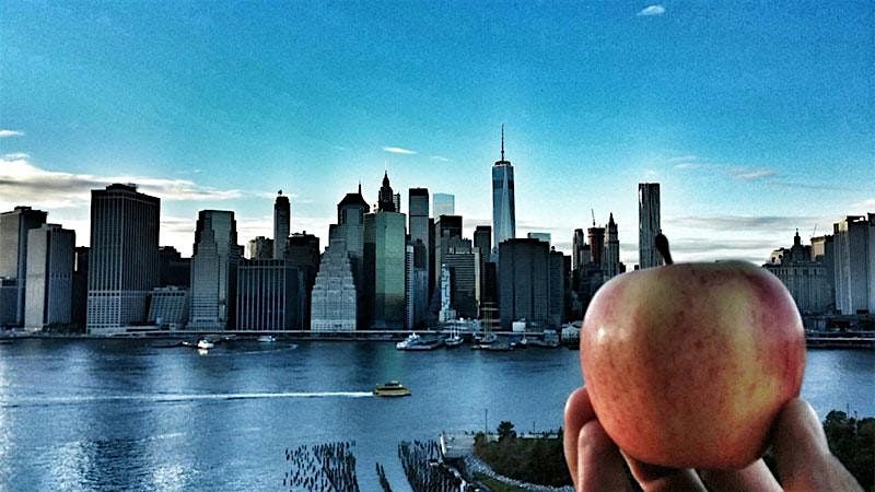 A Day in the Big Apple, 8 November | Event in New York | AllEvents