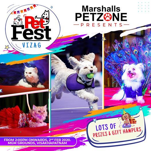 Marshalls Pet Fest, MGM Grounds, Visakhapatnam, 2 February 2020