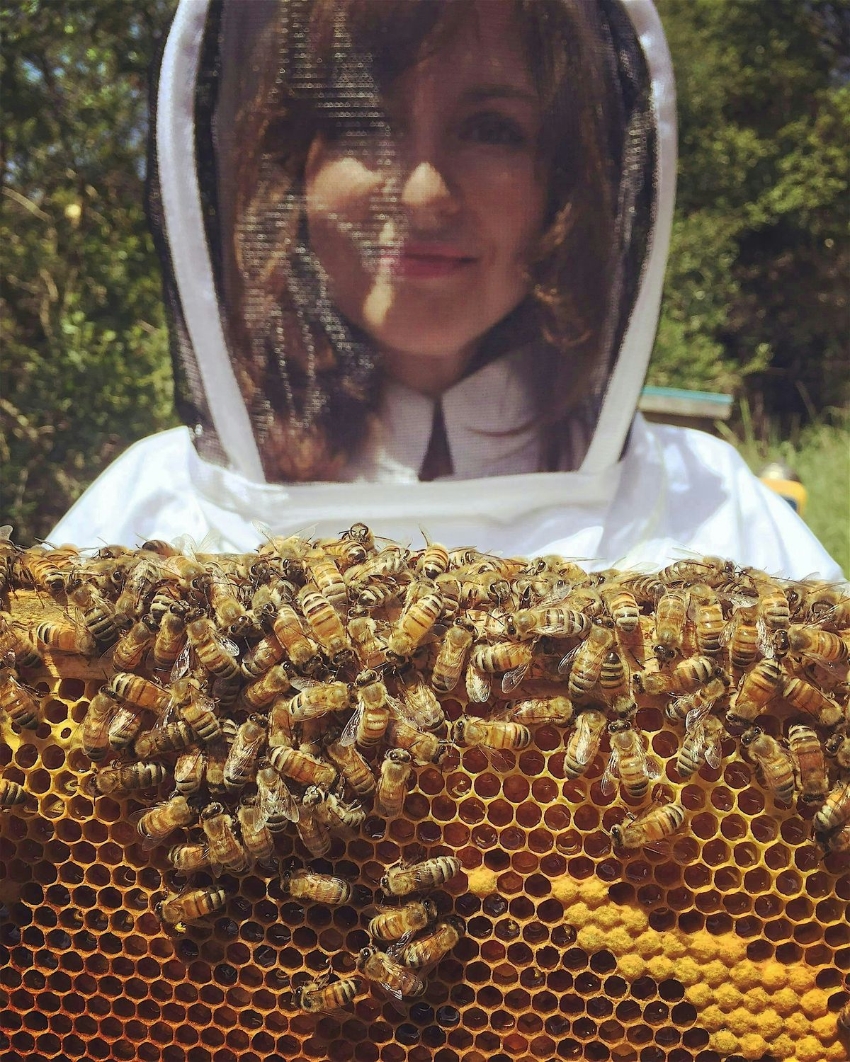 Hive Tour + Interactive Beekeeping 1`01, 27 July | Event in Alameda | AllEvents