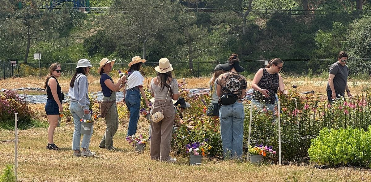 BeeWorthy Farms Tour, 27 July | Event in Encinitas | AllEvents
