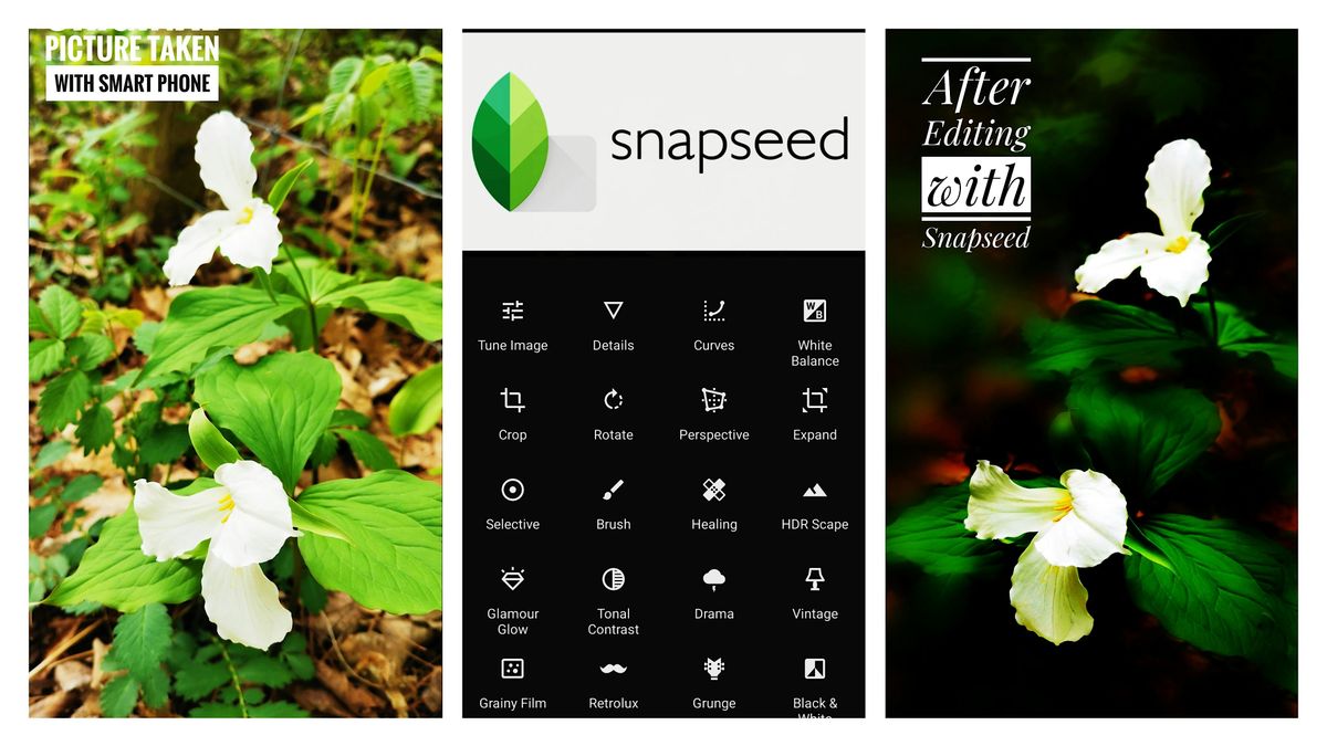 Snapseed Smart-Phone Photo Editing Workshop, 18 August | Event in Toronto | AllEvents
