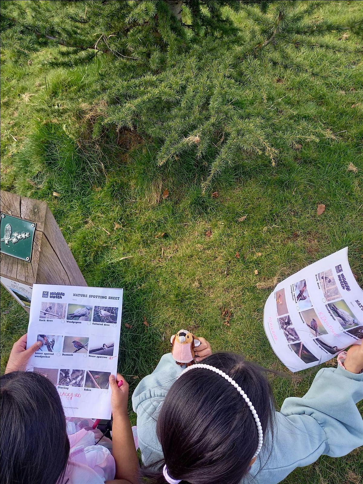 Luton Little Bugs | Event in Luton | AllEvents