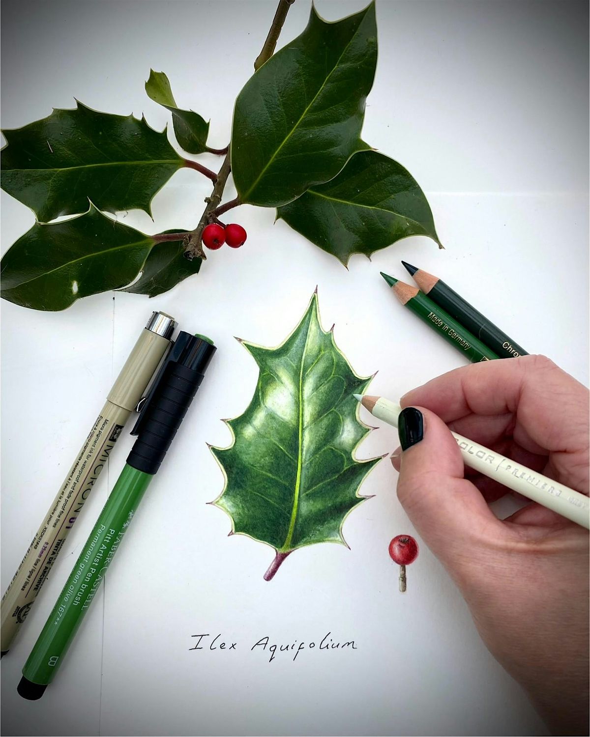 Botanical Sketchbook Workshop in the Nene Wetlands (8th December), 8 December | Event in Wellingborough | AllEvents