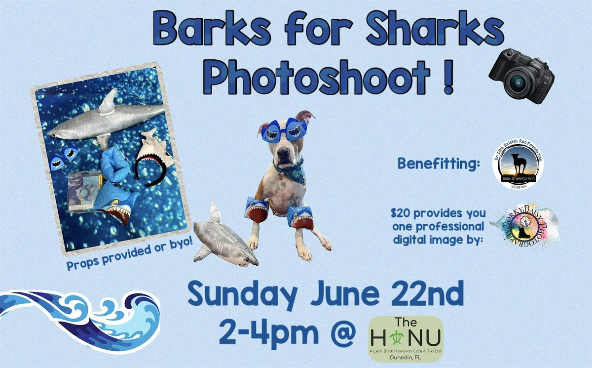 Barks for Sharks Photoshoot!, 29 July | Event in Dunedin | AllEvents