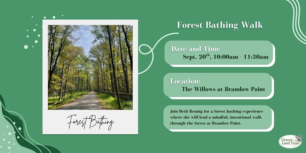 Forest Bathing Walk, 20 September | Event in Athens | AllEvents