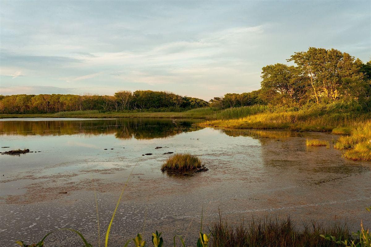 Coastal Excursion: Sea Level Rise SUP Tour, 11 September | Event in Scarborough | AllEvents