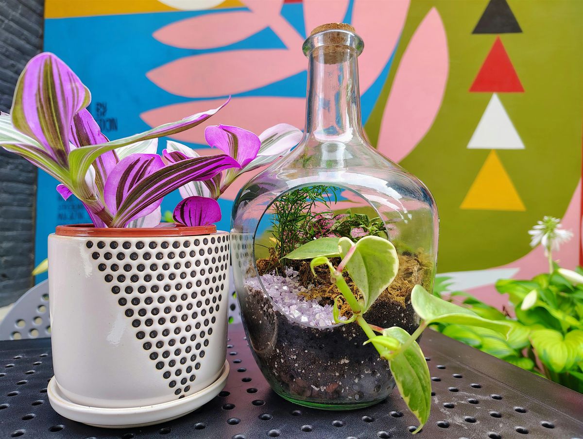 Summer Terrarium Workshop, 1 August | Event in Easton | AllEvents